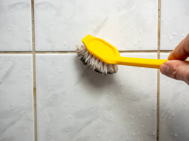 Best Toxic Mold Removal  in Poquott, NY