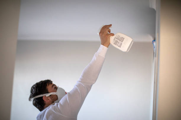 Mold Testing and Removal in Poquott, NY