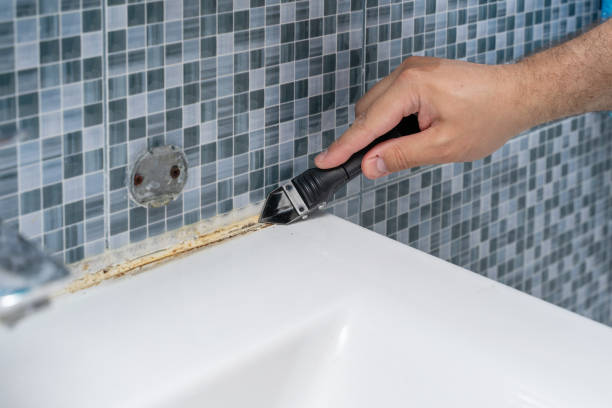 Best Residential Mold Removal  in Poquott, NY