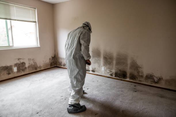 Water Damage Restoration in Poquott, NY